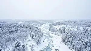 Image from the ice age