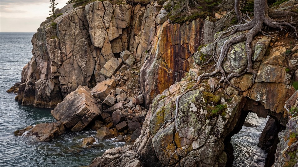 Verwitterung: Der Abbau von Gestein Title Image