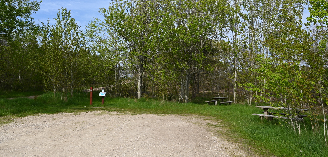 Billede fra pladsen ved Tvorup S