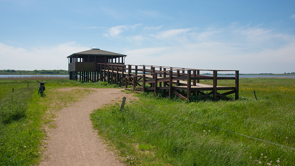 Vilsted Sø - Generelt Title Image