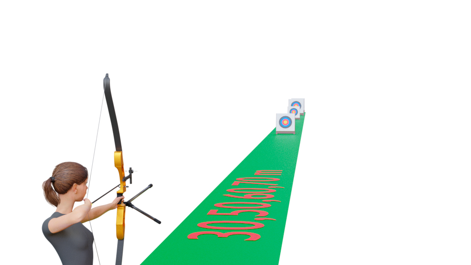 Visualisering af FITA runde