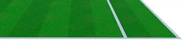 Græs-underlag i tennis