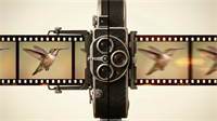 Filmisches Video mit Frame Rate
