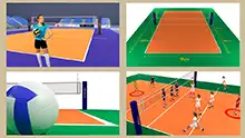 Volleyball